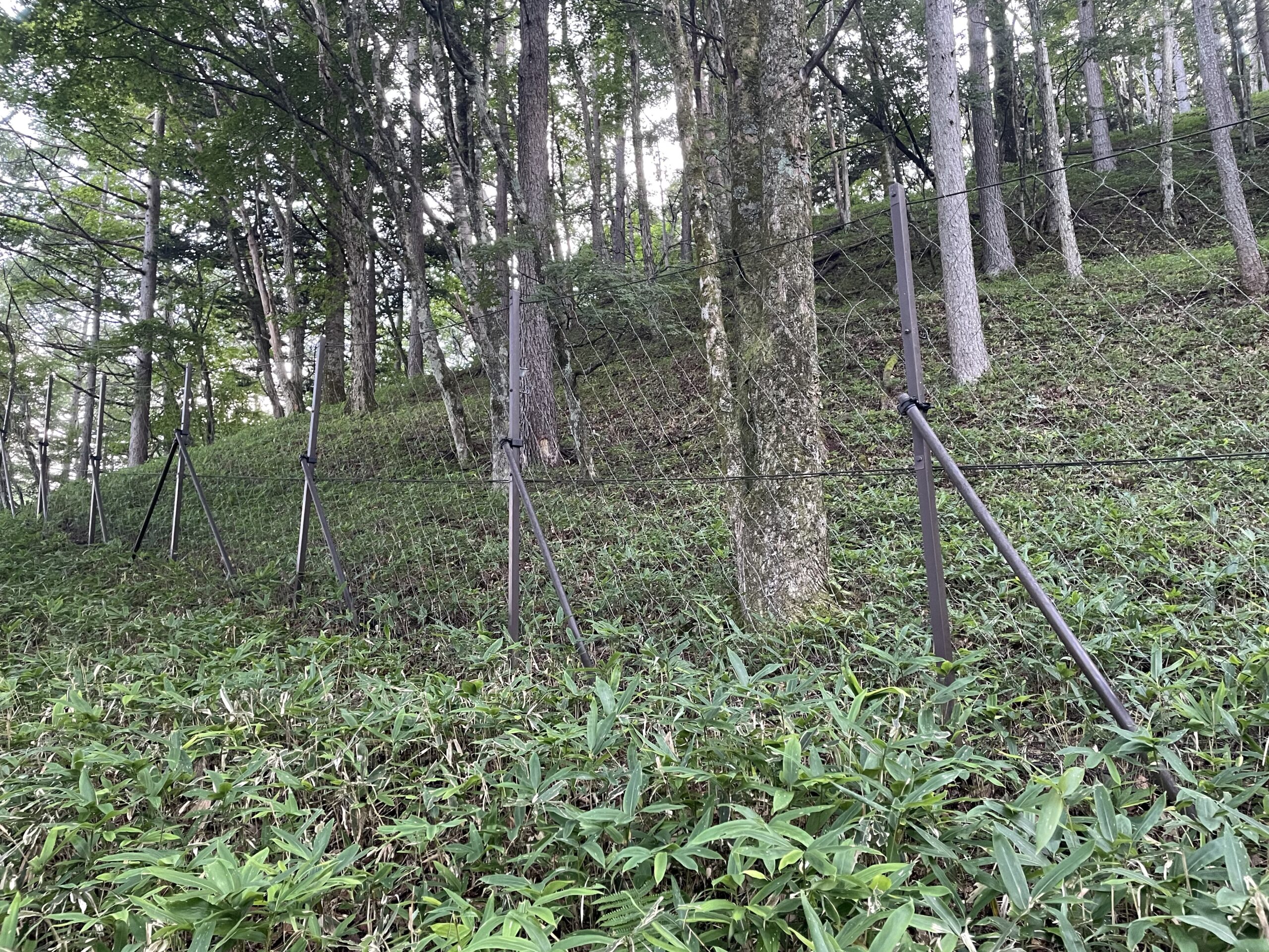 噛切り耐性◎：タフネット